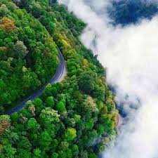 مقالات مرتبط